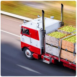 حمل و نقل - میوه و تره - بار
